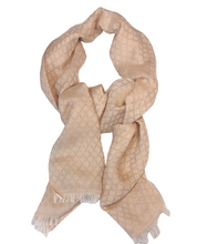 Carica l&#39;immagine nel visualizzatore di Gallery, SCIARPA COTONE PRIMAVESI TC300004 BEIGE
